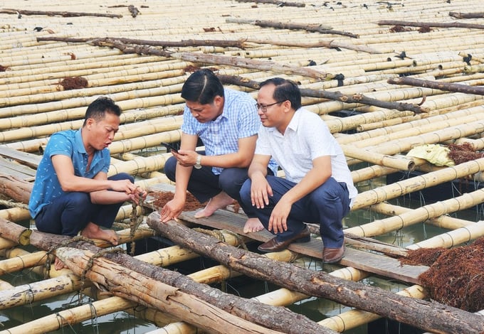 Cơ quan chức năng kiểm tra mô hình nuôi hàu tại Cửa Hội của các hộ dân sau phản ánh của Báo Nông nghiệp Việt Nam.