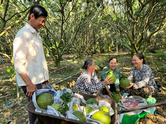 Bà con nông dân thắng nhiều vụ mùa nhờ Phân bón Cà Mau. Ảnh: PVCFC.