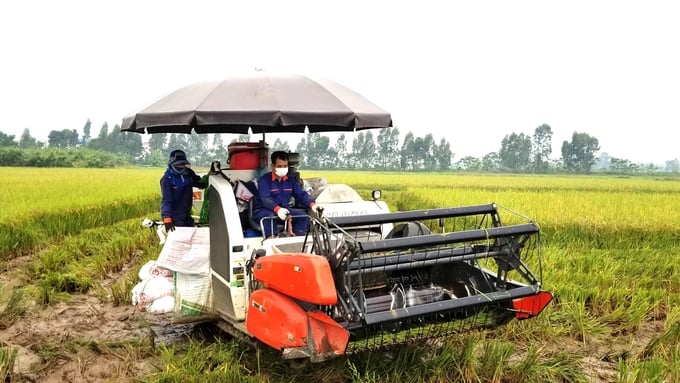 The majority of Vietnamese cooperatives are experiencing difficulties in acquiring funds for mechanization investment. Photo: Duong Dinh Tuong.
