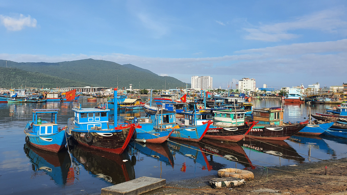 Currently, in Vietnam, over 97.65% of fishing vessels have installed cruise monitoring equipment. Photo: L.K.