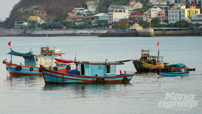 Ba Ria - Vung Tau province aims to issue temporary registration numbers for all 1,081 '3 no' fishing vessels by the end of April 2024. Photo: Le Binh.