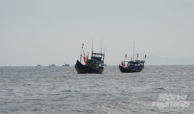 Effective management of the local '3 no' fishing vessels helps Ba Ria - Vung Tau implement the EC's anti-IUU fishing recommendations. Photo: Le Binh.