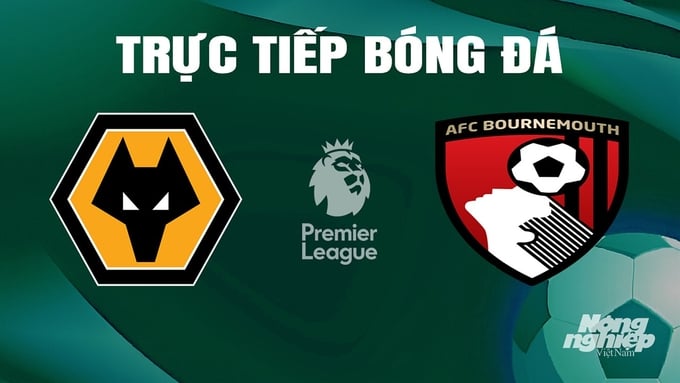 Trực tiếp bóng đá Ngoại hạng Anh giữa Wolves vs Bournemouth ngày 25/4/2024