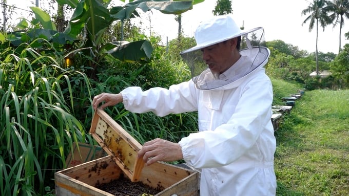 Đề án 'Phát triển bền vững ngành ong đến năm 2030' đặt mục tiêu trọng tâm phát triển bền vững, nâng cao sức cạnh tranh của ngành ong, xây dựng và bảo vệ thương hiệu sản phẩm ong Việt Nam. Ảnh: Nguyễn Thủy.