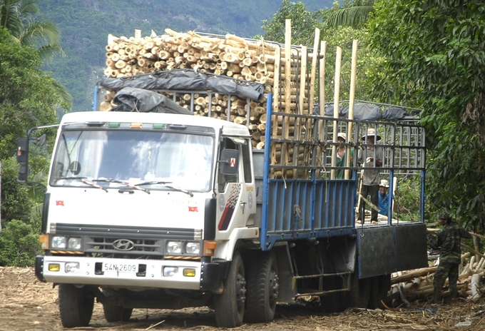 Wood products must be made from legal raw materials that do not contribute to deforestation and forest degradation. Photo: V.D.T.