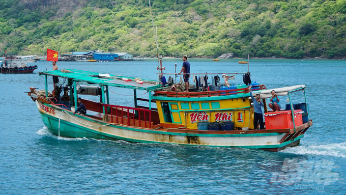 The EC's IUU 'yellow card' poses as a significant obstacle for Vietnam's international reputation and its fishermen community. Photo: Le Binh.