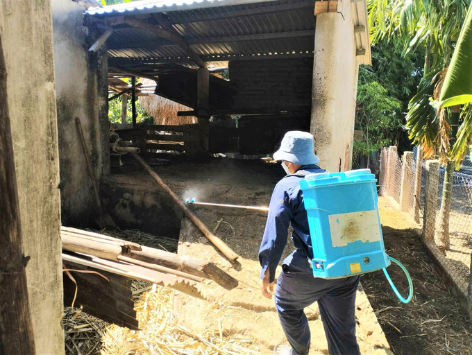 Ngành chức năng tỉnh Quảng Nam tăng cường các hoạt động phòng chống dịch tả lợn Châu Phi. Ảnh: L.K.