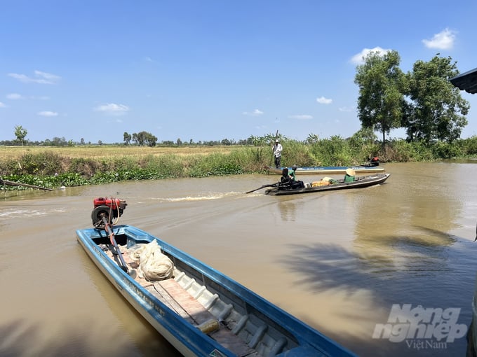 Thanks to proactive response and building scenarios in advance, the dry season of 2023 - 2024 in Bac Lieu province has not been significantly affected. Photo: Trong Linh.