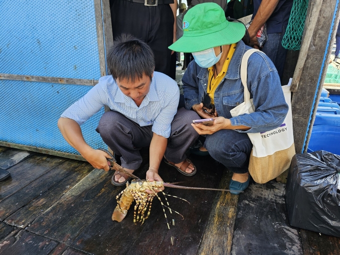 Trước đó, đoàn công tác của Sở NN-PTNT Khánh Hòa khảo sát vùng nuôi tôm hùm chết. Ảnh: KS.