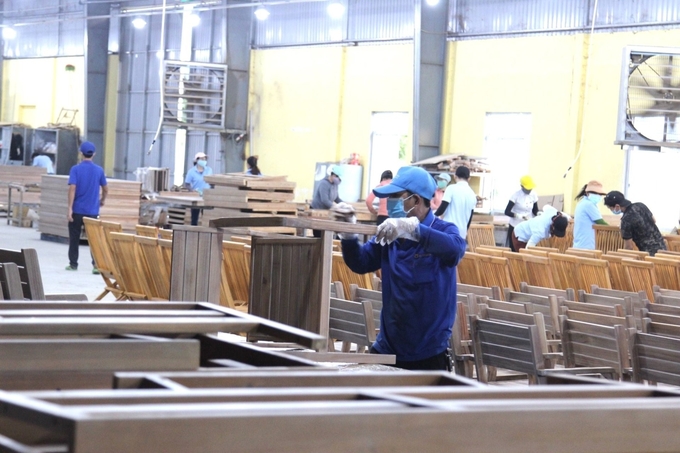 In export wood processing, raw materials account for 40–60% of the product cost structure. Photo: V.D.T.