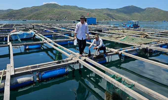 Cơ quan chức năng lấy mẫu nước ở vùng nuôi tôm hùm huyện Vạn Ninh, tỉnh Khánh Hòa. Ảnh: KS.