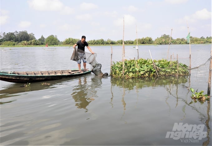 Freshwater fish can still live near the Kenh Lau sluice gate connecting to the Cai Lon River in Hoa Tien commune, Vi Thanh city despite the peak of saline drought. Photo: Trung Chanh.