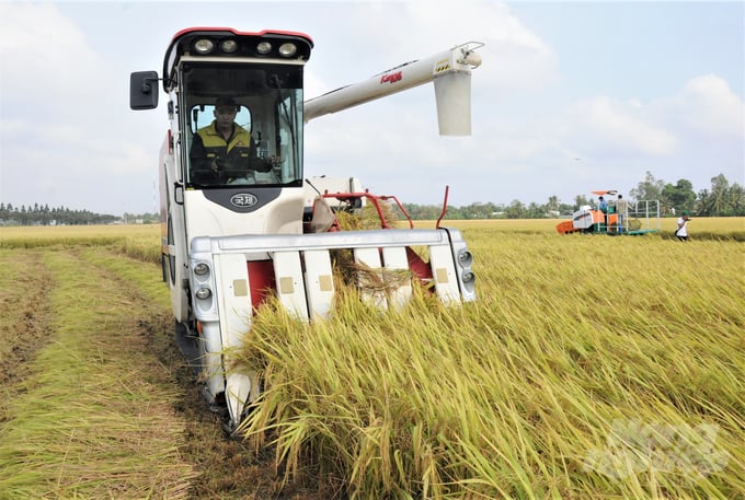 The Cai Lon - Cai Be irrigation system operates effectively, safely protecting the benefit area spread over an area of more than 384,120 hectares. Photo: Trung Chanh.