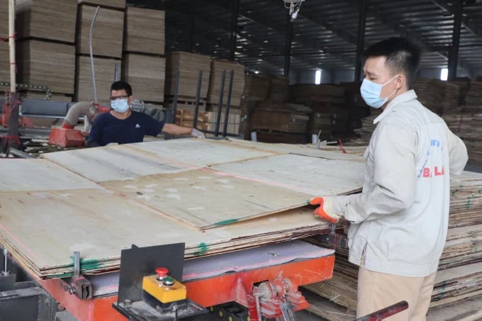 152 Vietnamese plywood businesses will be subject to a minimum duty of 4% when exporting to South Korea. Consequently, they will struggle with competitiveness issues and the risk of closure. Photo: PT.