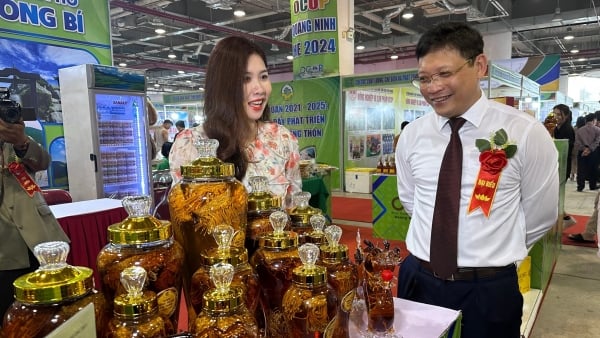 Hội chợ OCOP Quảng Ninh - Hè 2024 có trên 200 gian hàng. Ảnh: Nguyễn Thành.