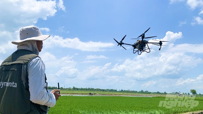 Nông dân đang điều khiển drone bởi sự hướng dẫn của kỹ thuật viên Công ty Syngenta. Ảnh: Hồ Thảo.