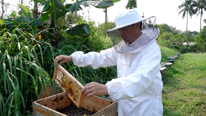 The project 'Sustainable development of the bee industry until 2030' focuses on sustainable development, improving the competitiveness of the bee industry, building and protecting the brand of Vietnamese bee products. Photo: Nguyen Thuy.