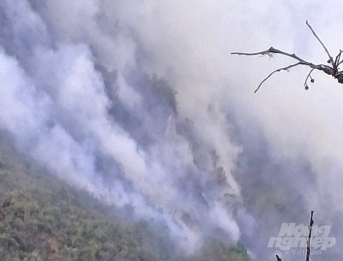 Vụ cháy rừng đã khiến cả cánh rừng đặc dụng rộng lớn Tây Côn Lĩnh độ cao gần 2.000m so với mực nước biển chìm trong khói mù mịt.