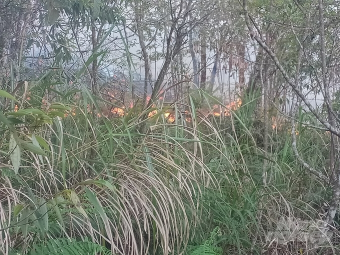Vụ cháy rừng ở Hà Giang bước đầu xác định diện tích thiệt hại là khoảng 10ha. Ảnh: HL.