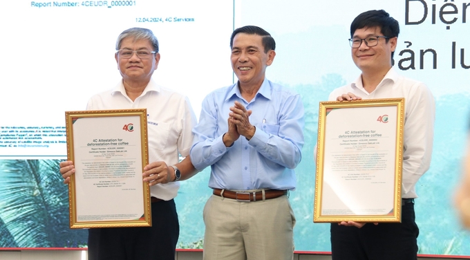 Simexco DakLak leaders received certificates of compliance with EUDR standards for 4,957 farmers affiliated with the Company with an area of ​​5,375 hectares. Photo: Quang Yen.