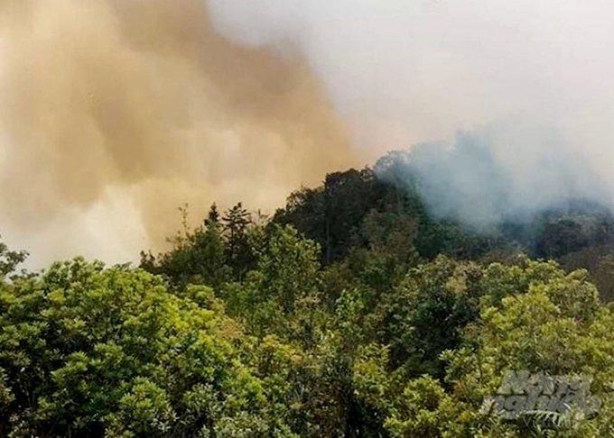 2 người tử vong, 5 người bị thương trong vụ cháy rừng ở Hà Giang. Ảnh: HL.