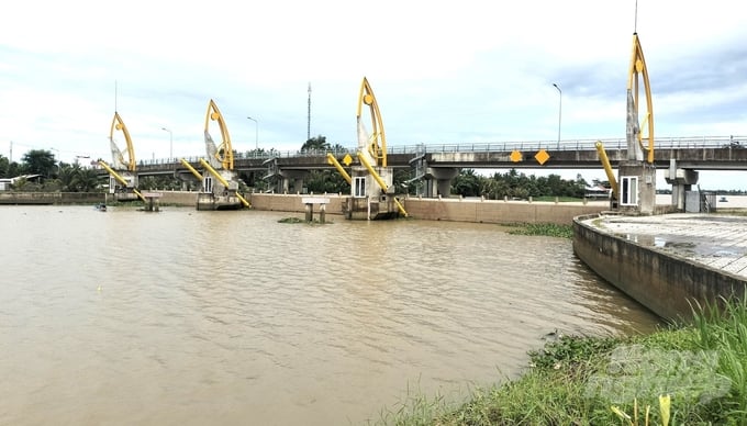 Vung Liem sluice belongs to the Nam Mang Thit irrigation system and is operated effectively to prevent salinity in Vung Liem and Cang Long districts (Vinh Long province), with the winter-spring rice area of 2023-2024 being 17,305 hectares, vegetable growing area is 1,652 hectares and fruit growing area is 15,361 hectares. Photo: Trung Chanh.