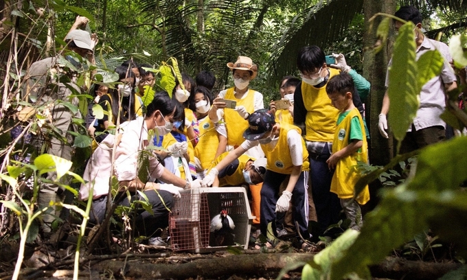 Học sinh trải nghiệm công tác bảo tồn tại Vườn quốc gia Cúc Phương.