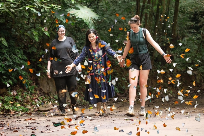 Du khách trong và ngoài nước tận hưởng mùa bướm ở Vườn Quốc gia Cúc Phương.