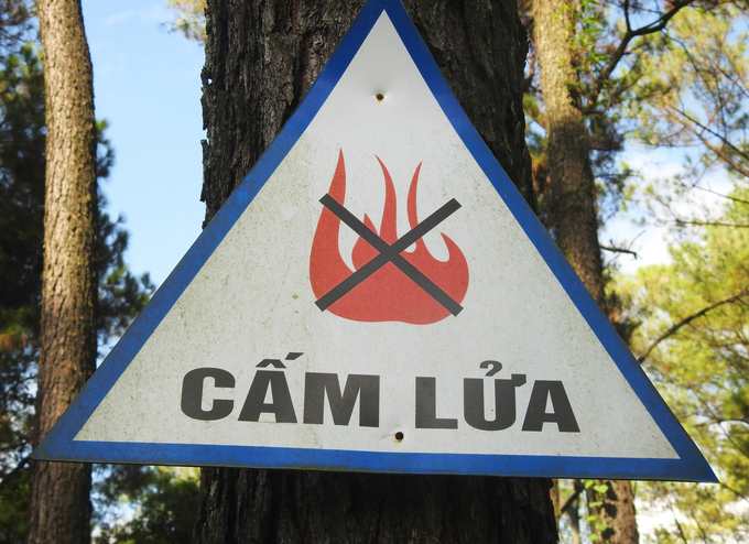 Các biển báo 'cấm lửa' được lắp đặt dày đặc tại các khu vực rừng có nguy cơ cháy cao. Ảnh: Thanh Nga. 