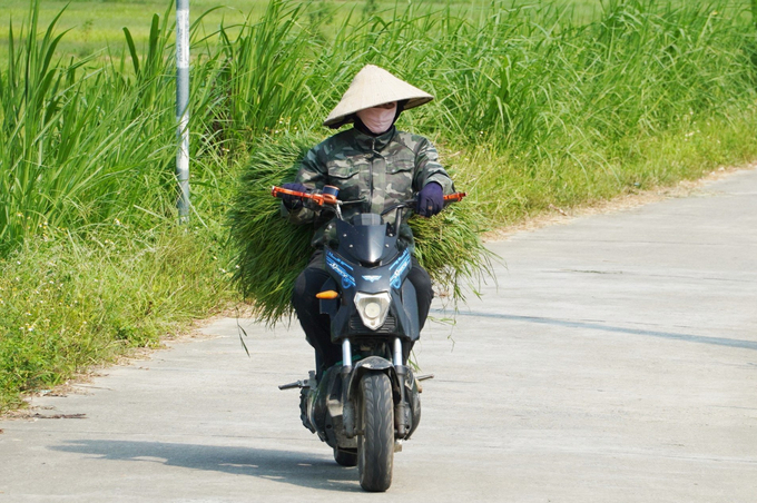 Trong những ngày nắng nóng diện rộng, những người nông dân gắn bó với đồng ruộng lại càng thêm vất vả.