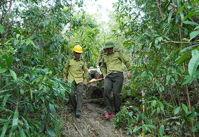 Lực lượng Hạt Kiểm lâm Vườn quốc gia Phong Nha - Kẻ Bàng thực hiện tuần tra, bảo vệ rừng trong những ngày nắng nóng. Ảnh: T.Phùng