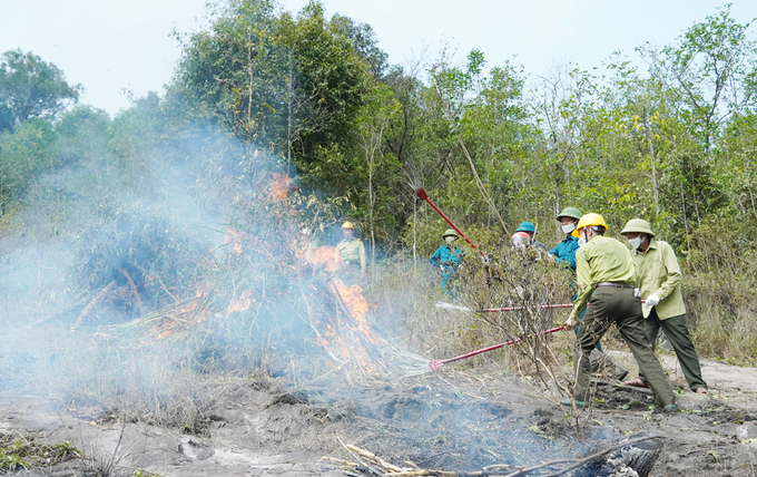 Diễn tập phòng chống chữa cháy rừng tại Vườn quốc gia Phong Nha - Kẻ Bàng. Ảnh: T.Phùng