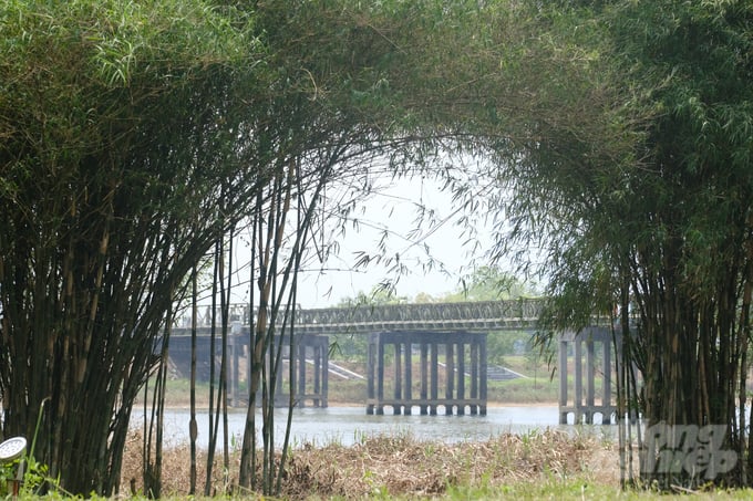 Cầu Hiền Lương nhìn từ rặng tre bên bờ Bắc. Ảnh: Kiên Trung.