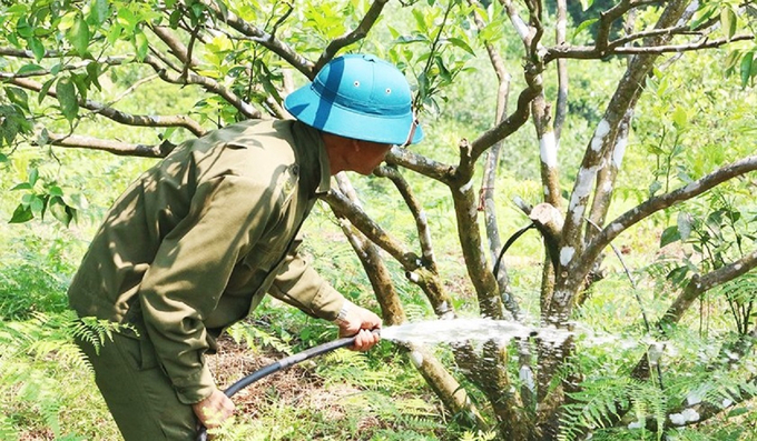 Gia đình ông Nguyễn Văn Minh, ở thôn Hoa Thị, xã Thọ Điền, huyện Vũ Quang có 1,5ha cam bù và 1ha cam chanh đang thời kỳ nuôi quả. Các năm trước, thường tháng 6, ông Minh mới phải chống hạn cho cam. Còn năm nay, nắng khô khốc từ cuối tháng 4 đã khiến một số gốc cam héo lá, gia đình phải đầu tư 1 máy bơm nước công suất lớn và hệ thống ống tưới dài hơn 200m với chi phí 8 triệu đồng để tưới chống hạn cho cây.