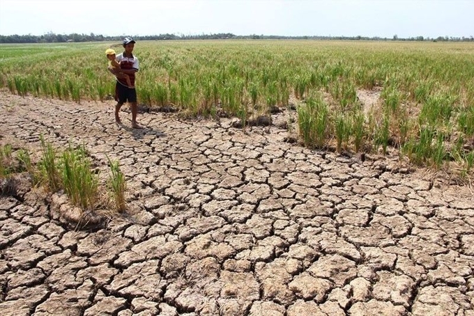 Philippines dự báo hơn 40 khu vực ở nước này trải qua mức nhiệt nguy hiểm trong ngày 30/4 do hiện tượng El Nino và mùa khô kéo dài.