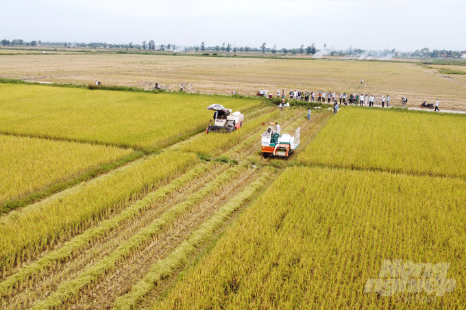 Trên các lĩnh vực kinh tế - văn hóa - xã hội, Quảng Trị đã vươn mình mạnh mẽ. Ảnh: Võ Dũng.