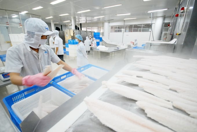 Việt Nam chiếm lĩnh thị trường thủy sản Singapore bằng các sản phẩm cá fillet đông lạnh và cá chế biến. Ảnh: Hoàng Vũ.