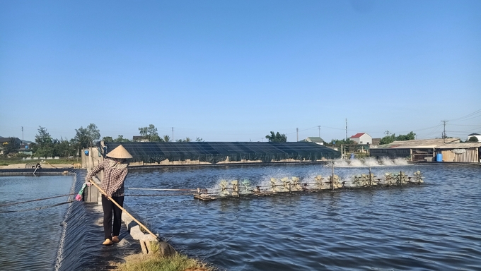 Người nuôi tôm tại Hà Tĩnh tăng cường sục khí và cấp nước cho ao đầy đủ để làm mát nước. Ảnh: Ánh Nguyệt.