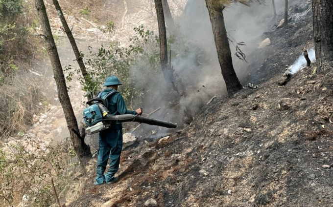 Lãnh đạo tỉnh Nghệ An yêu cầu đảm bảo an toàn tuyệt đối cho lực lượng tham gia chữa cháy.