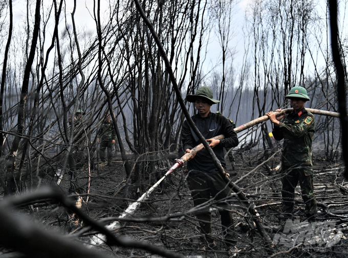 Vụ cháy rừng tại huyện Giang Thành gây thiệt hại khoảng 371 ha rừng, gồm 300 ha rừng sản xuất và 71 ha rừng phòng hộ. Ảnh: Trung Chánh.