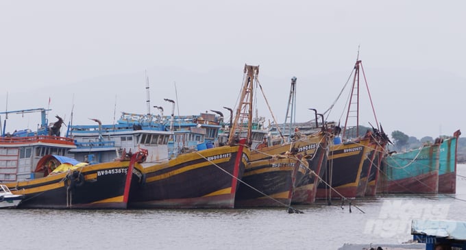 From August 2022 until now, the province has had no cases of fishing vessels violating foreign waters and being arrested or handled by foreign forces. Photo: Le Binh.