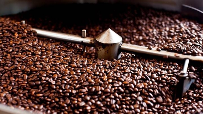 Giá cả cà phê trong nước và thế giới mới nhất ngày 2/5/2024
