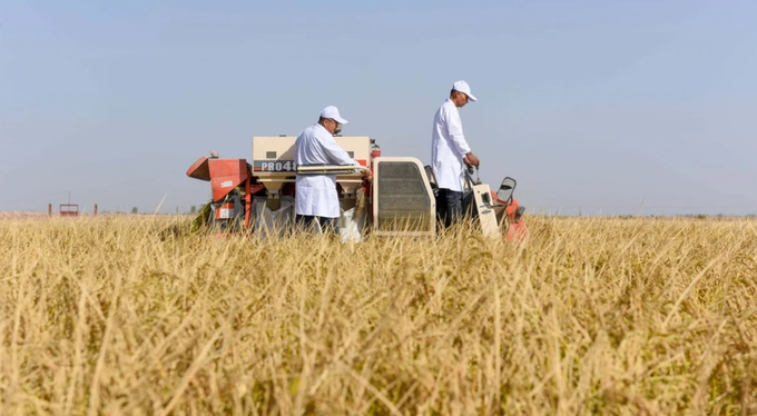 As China seeks new areas for viable farmland, it has performed frequent tests of new methods in the Xinjiang region. Photo: Xinhua