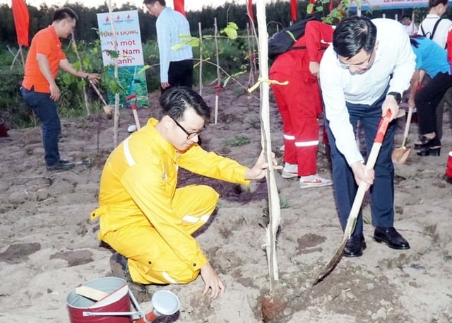 Petrovietnam leaders and employees plant trees, contributing to forest restoration on wetlands.