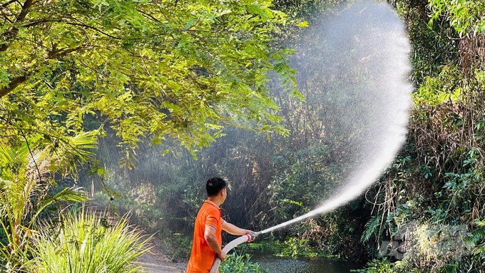 Nắng nóng liên tục, khiến các cánh rừng sản xuất ở Sóc Trăng đang ở cấp  cảnh báo cháy rừng cực kỳ nguy hiểm. Ảnh: Tuấn Phi.