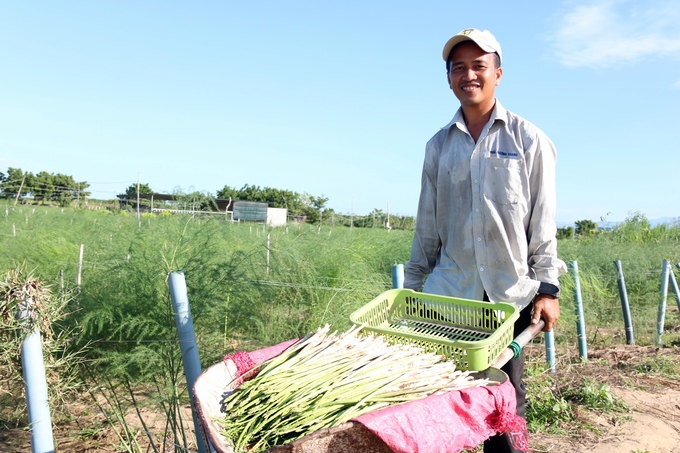 Ninh Thuận chú trọng phát triển nông nghiệp theo hướng hữu cơ, công nghệ cao, bền vững để thích ứng hiệu quả với biến đổi khí hậu. Ảnh: MP.