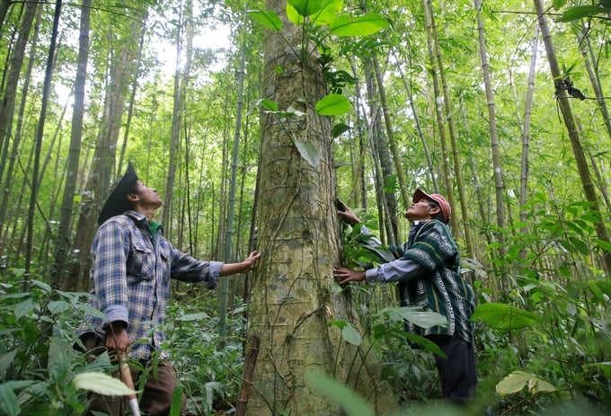 The Ministry of Finance is tasked with leading the development of the project. Photo: Tung Dinh.