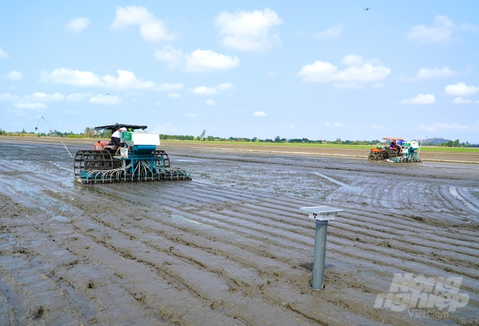Một trong năm mô hình thí điểm Đề án 1 triệu ha lúa chất lượng cao, phát thải thấp đang triển khai tại HTX nông nghiệp Thuận Tiến, xã Thạnh An, huyện Vĩnh Thạnh, TP Cần Thơ. Ảnh: Kim Anh.