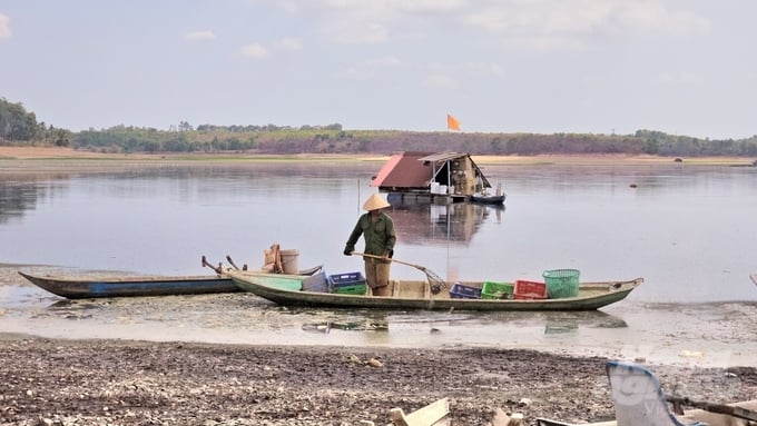 Đội nuôi trồng thủy sản đã huy động tất cả cán bộ, chiến sĩ, nhân viên làm việc xuyên suốt mấy ngày lễ để liên tục vớt, đưa số cá chết trên hồ lên bờ để hạn chế gây ô nhiễm môi trường. Ảnh: Minh Sáng.