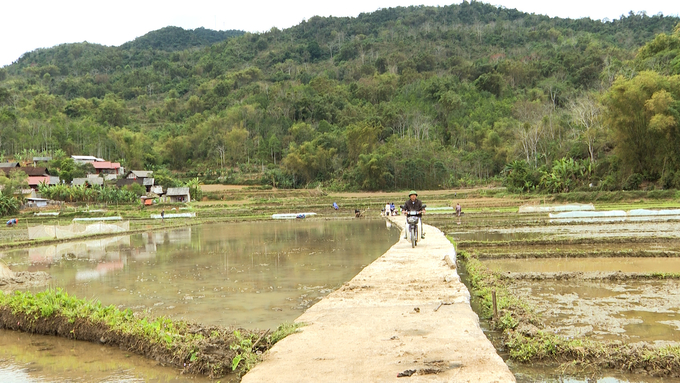 Tuyến đường nội đồng ở xã Khang Ninh (huyện Ba Bể) được thực hiện từ gói hỗ trợ 40 triệu đồng/thôn. Ảnh: Ngọc Tú.  